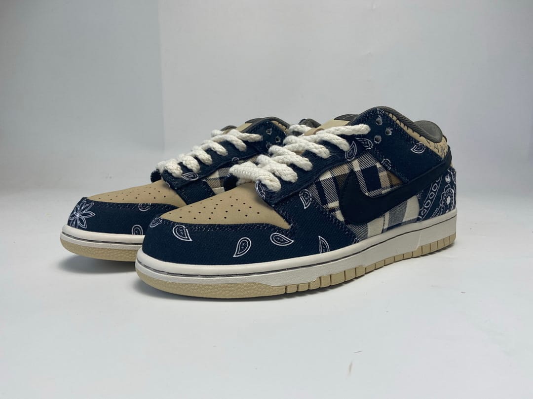 Nike Dunk Low SB SX Edition (Colorway 16)