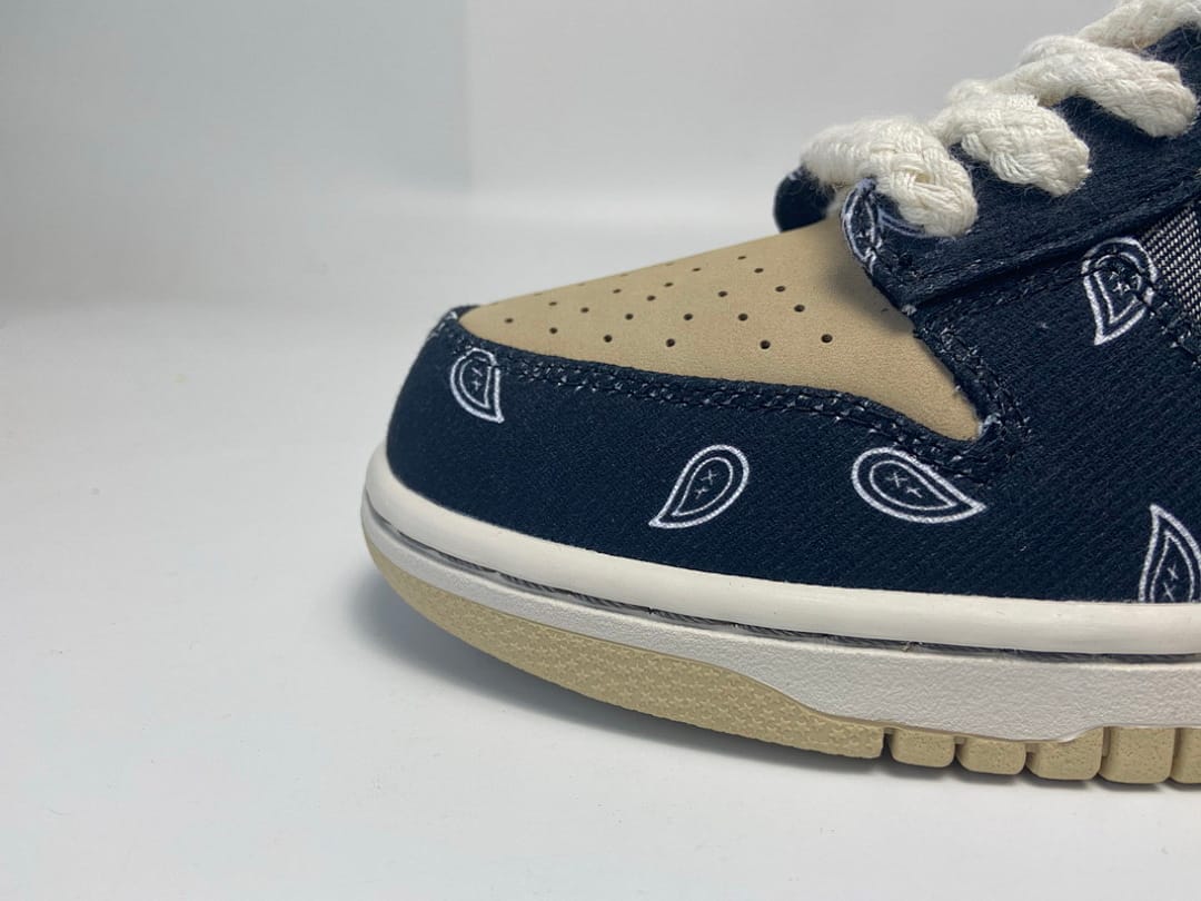 Nike Dunk Low SB SX Edition (Colorway 16)