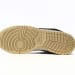 Nike Dunk Low SB SX Edition (Colorway 16)