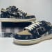 Nike Dunk Low SB SX Edition (Colorway 16)