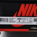 Air Jordan 1 High OG Brotherhood