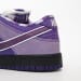 Nike Dunk Low SB OG Edition (Colorway 5)