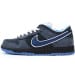 Nike Dunk Low SB OG Edition (Colorway 3)