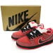 Nike Dunk Low SB OG Edition (Colorway 2)