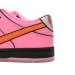 Nike Dunk Low SB SX Edition Blossom