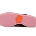 Nike Dunk Low SB SX Edition Blossom
