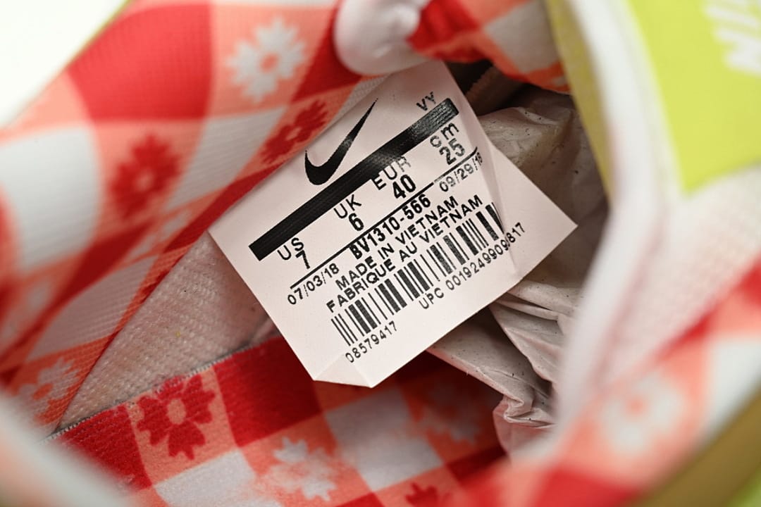Nike Dunk Low SB SX Edition (Colorway 4)