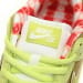 Nike Dunk Low SB SX Edition (Colorway 4)