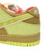 Nike Dunk Low SB SX Edition (Colorway 4)
