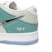 Nike Dunk Low SB SE SX Edition (Colorway 3)