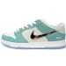Nike Dunk Low SB SE SX Edition (Colorway 3)