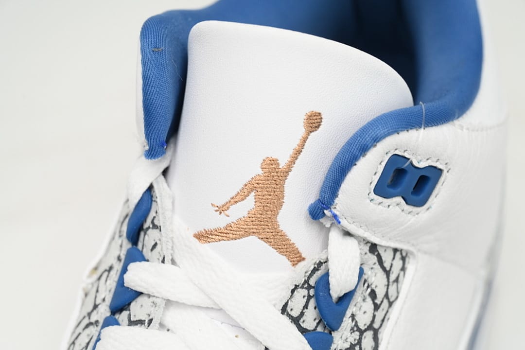 Air Jordan 3 Retro “wizards” (Colorway 2)