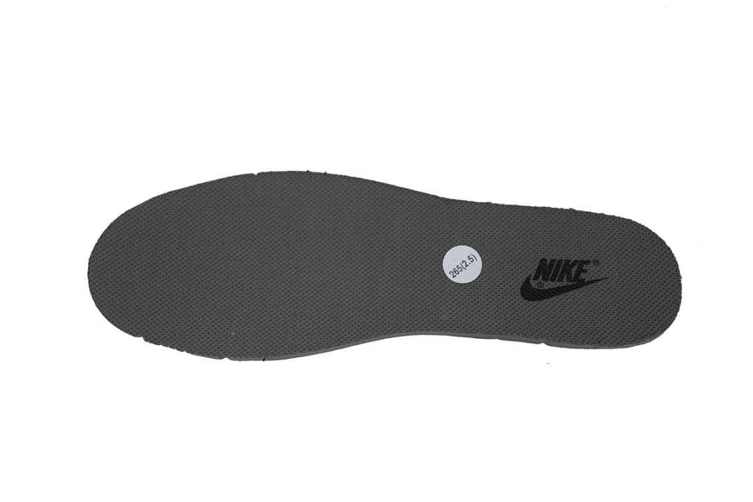 Nike Dunk Low SB SX Edition (Colorway 2)