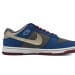 Nike Dunk Low SB SX Edition (Colorway 2)