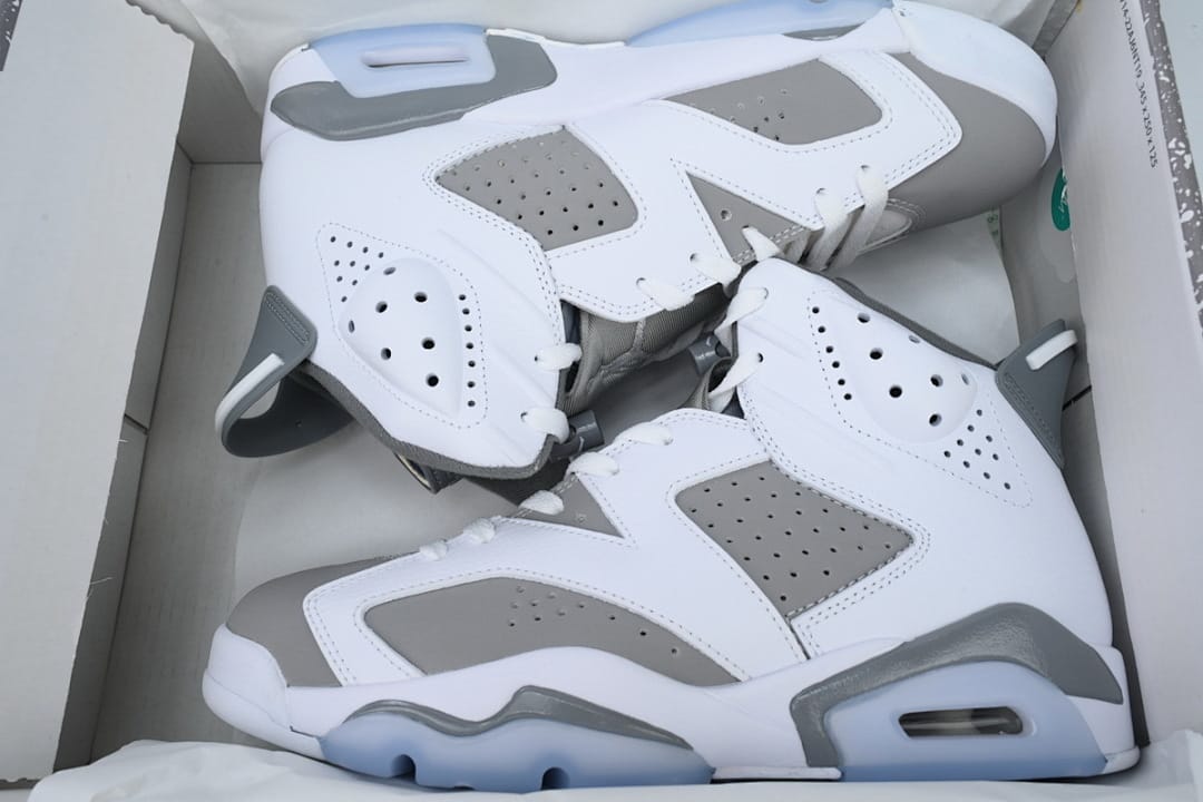 Air Jordan 6 Essential Chameleon