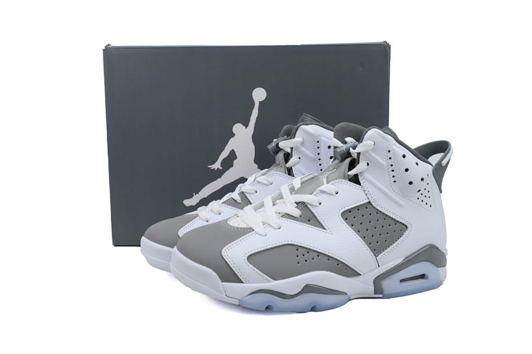Air Jordan 6 Essential Chameleon