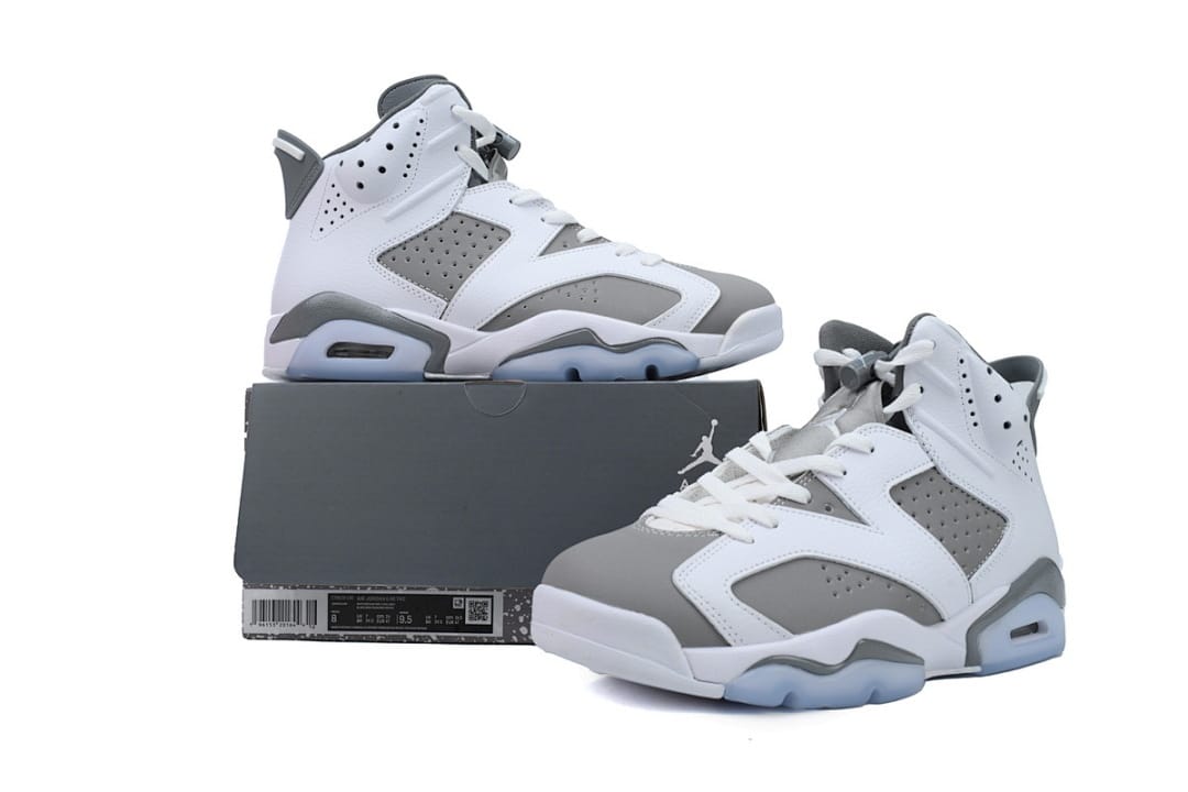 Air Jordan 6 Essential Chameleon