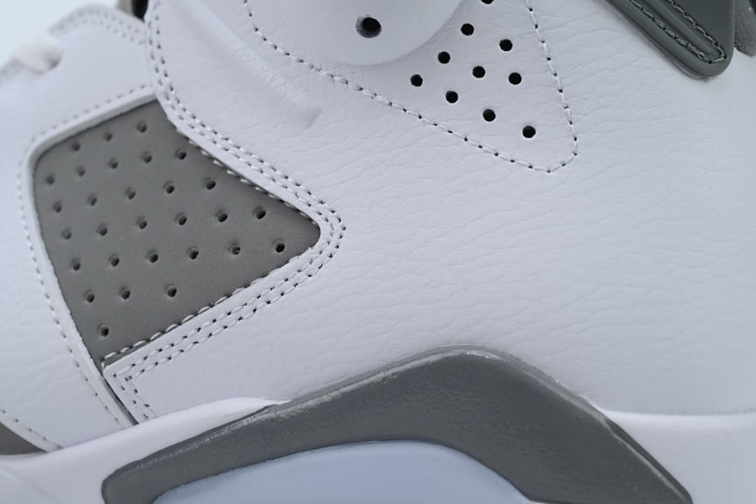 Air Jordan 6 Essential Chameleon