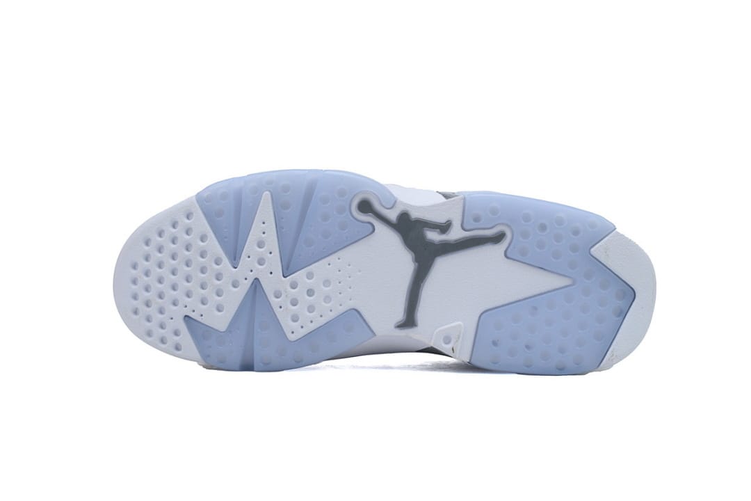 Air Jordan 6 Essential Chameleon