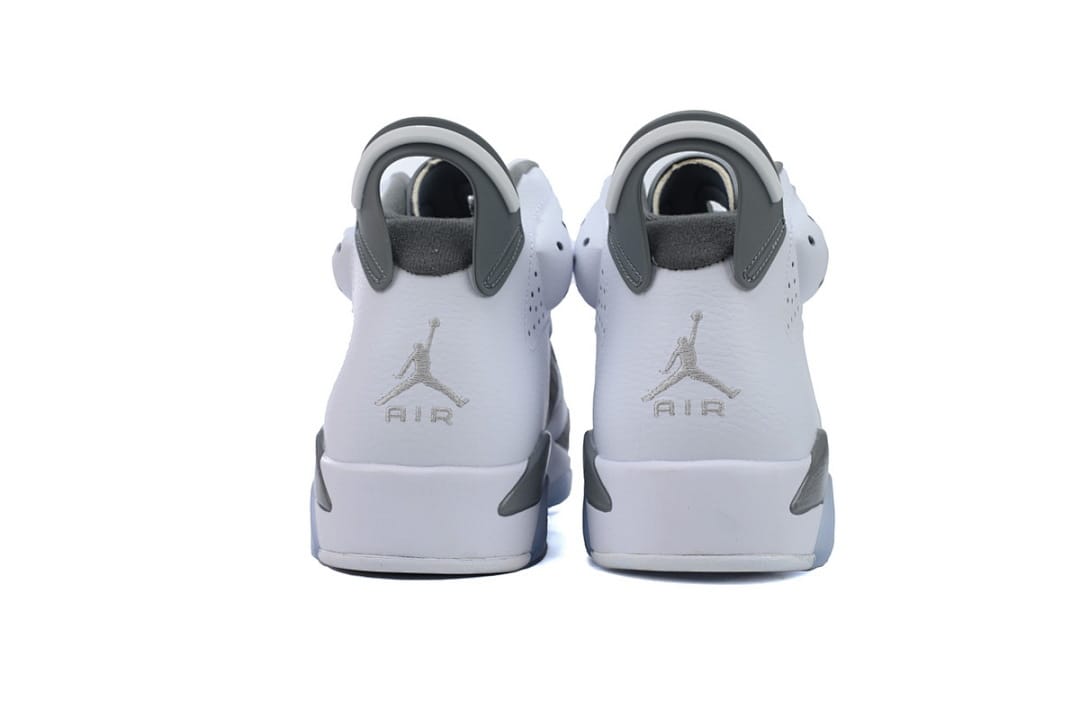 Air Jordan 6 Essential Chameleon