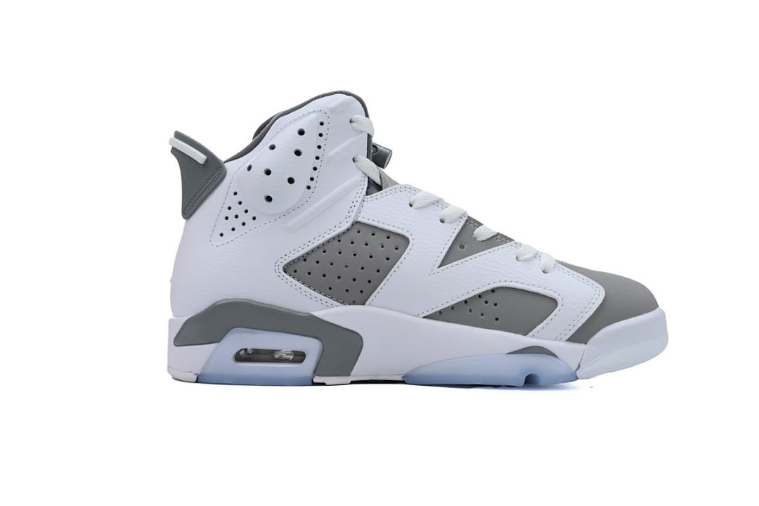 Air Jordan 6 Essential Chameleon
