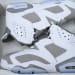 Air Jordan 6 Essential Chameleon