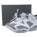 Air Jordan 6 Essential Chameleon