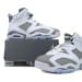 Air Jordan 6 Essential Chameleon