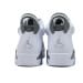 Air Jordan 6 Essential Chameleon