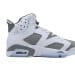 Air Jordan 6 Essential Chameleon