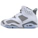 Air Jordan 6 Essential Chameleon