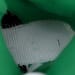 Air Jordan 5 High Green Glow