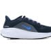Nike Air Zoom Pegasus 41 AA Edition White Blue