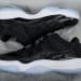 Air Jordan 11 Retro Low x OFF White White/Midnight Navy (Colorway 2)