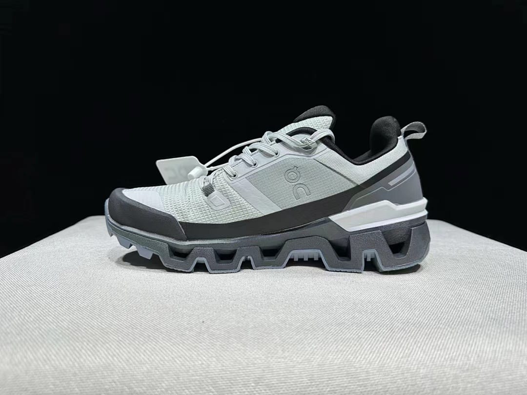 On Cloudwander WP (Colorway 5)
