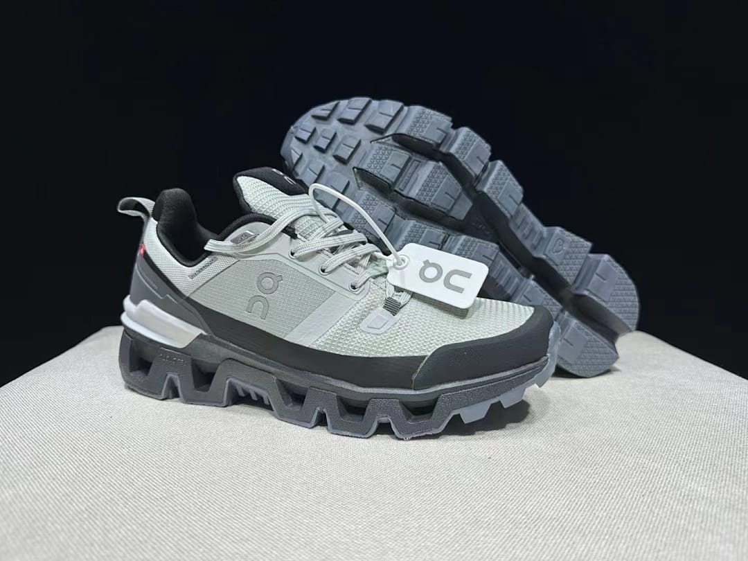 On Cloudwander WP (Colorway 5)