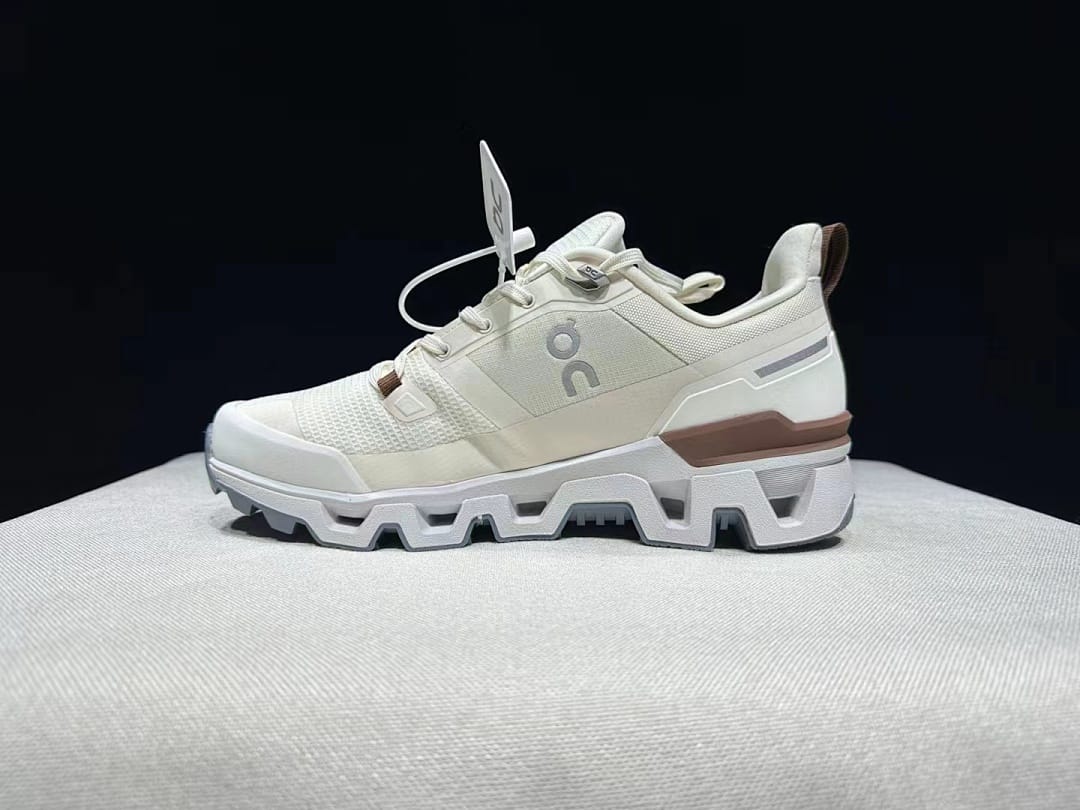 On Cloudwander WP (Colorway 2)