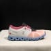 On Cloud 5 (Colorway 18)