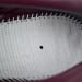 Adidas Samba OG Putty Grey Maroon