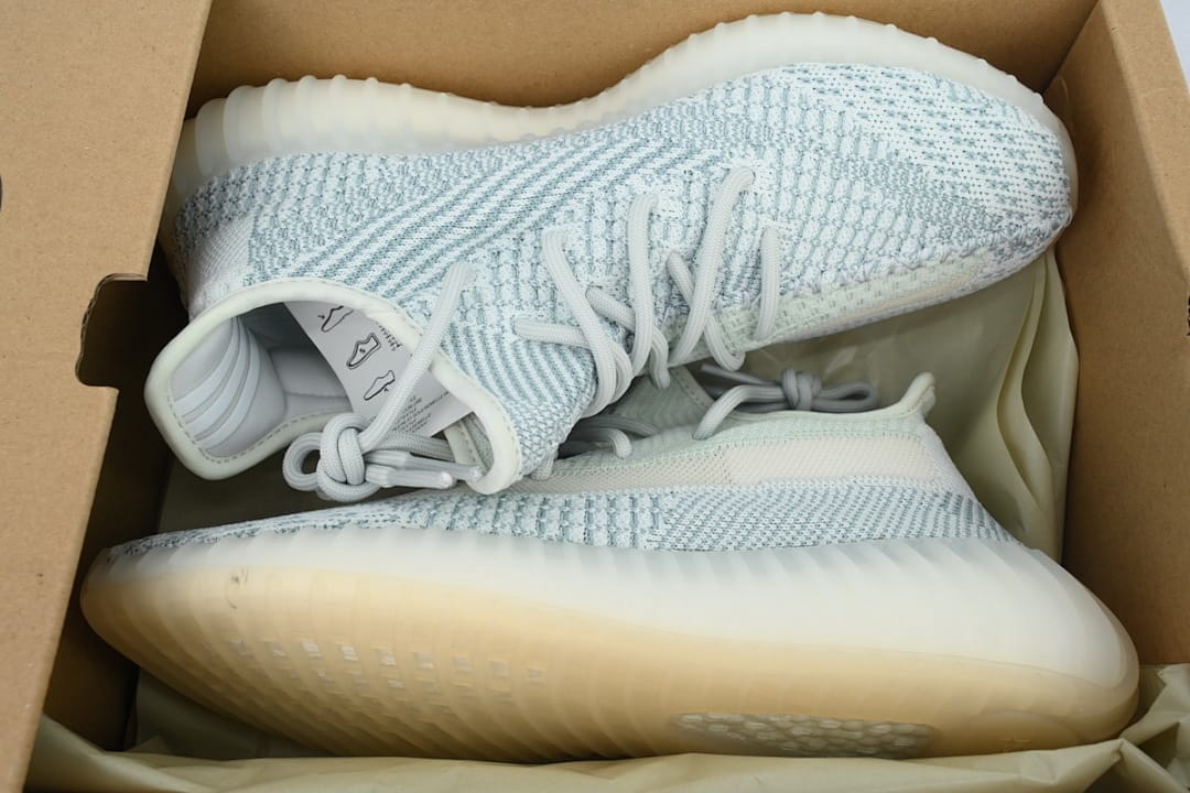 Yeezy Boost 350 V2 LW (Colorway 8)