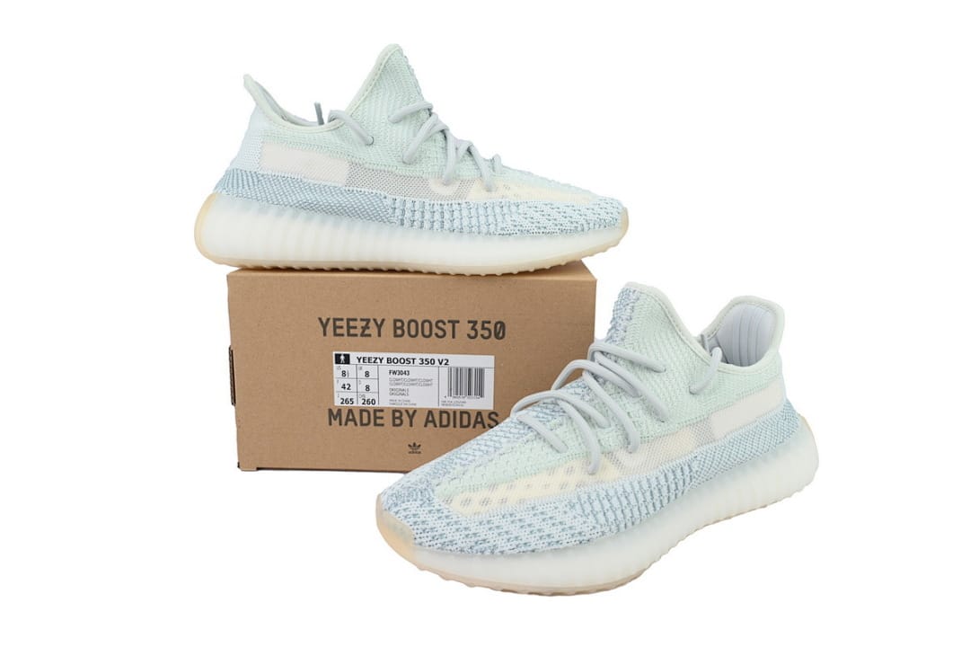 Yeezy Boost 350 V2 LW (Colorway 8)