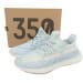 Yeezy Boost 350 V2 LW (Colorway 8)