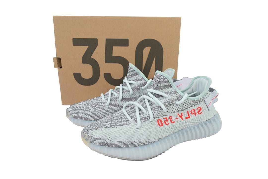 Yeezy Boost 350 V2 LW (Colorway 5)