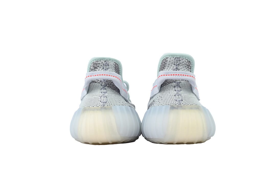 Yeezy Boost 350 V2 LW (Colorway 5)