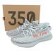 Yeezy Boost 350 V2 LW (Colorway 5)