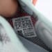 Yeezy Boost 350 V2 LW (Colorway 5)