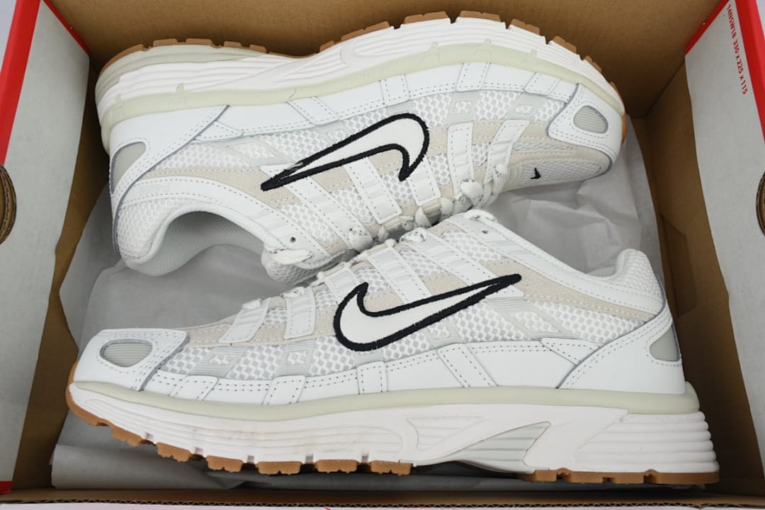 Nike P-6000 AA Edition Summit White Light Bone