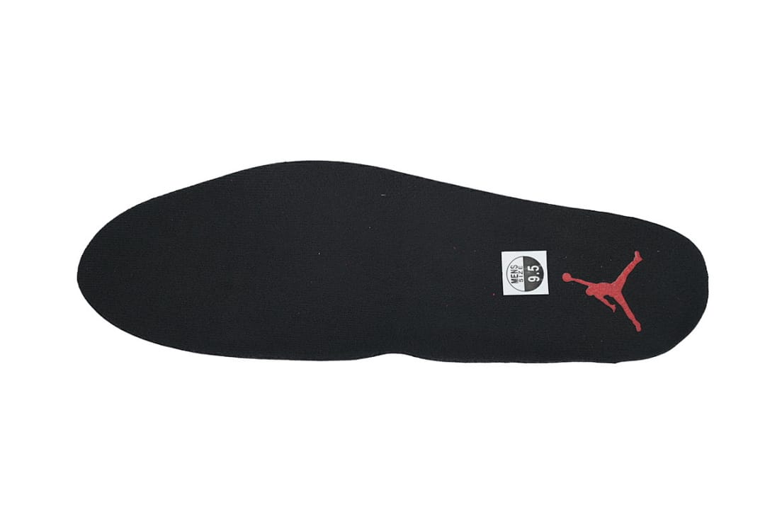 Air Jordan 6 Premium Infrared