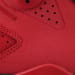 Air Jordan 6 Premium Infrared