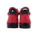 Air Jordan 6 Premium Infrared